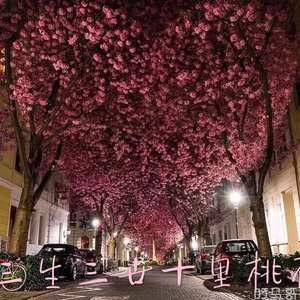 欧美性受xxxx喷水视频
